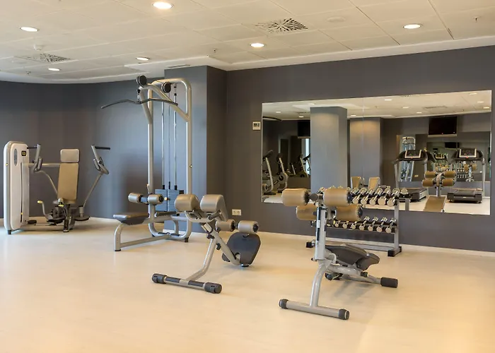 Sercotel Sorolla Palace מלון