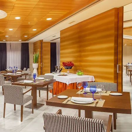 Sercotel Sorolla Palace 4* Valencie