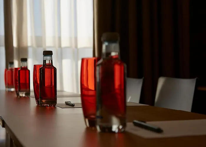 斯考特而索罗拉宫酒店 4*